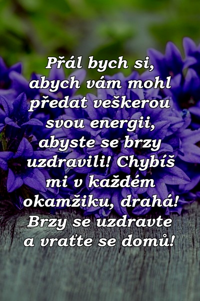 Přál bych si, abych vám mohl předat veškerou svou energii, abyste se brzy uzdravili! Chybíš mi v každém okamžiku, drahá! Brzy se uzdravte a vraťte se domů!