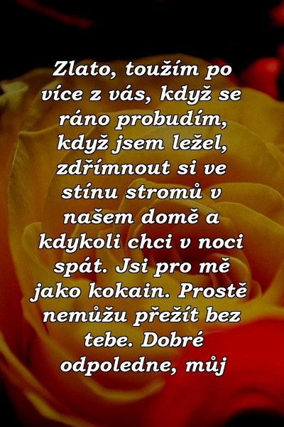 Zlato, toužím po více z vás, když se ráno probudím, když jsem ležel, zdřímnout si ve stínu stromů v našem domě a kdykoli chci v noci spát. Jsi pro mě jako kokain. Prostě nemůžu přežít bez tebe. Dobré odpoledne, můj