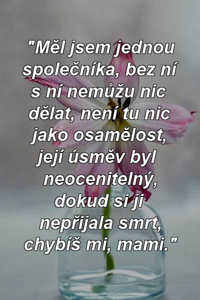 "Měl jsem jednou společníka, bez ní s ní nemůžu nic dělat, není tu nic jako osamělost, její úsměv byl neocenitelný, dokud si ji nepřijala smrt, chybíš mi, mami."