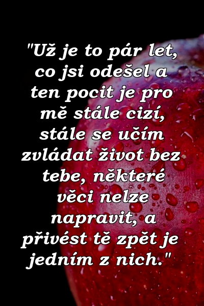 "Už je to pár let, co jsi odešel a ten pocit je pro mě stále cizí, stále se učím zvládat život bez tebe, některé věci nelze napravit, a přivést tě zpět je jedním z nich."