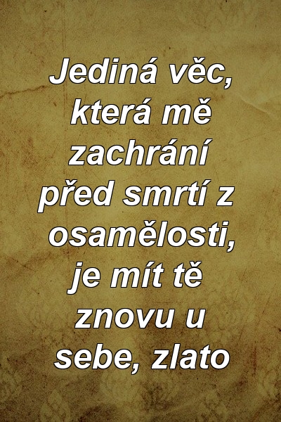 Jediná věc, která mě zachrání před smrtí z osamělosti, je mít tě znovu u sebe, zlato