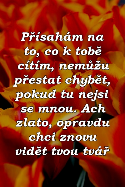 Přísahám na to, co k tobě cítím, nemůžu přestat chybět, pokud tu nejsi se mnou. Ach zlato, opravdu chci znovu vidět tvou tvář