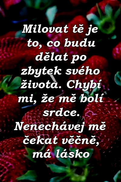 Milovat tě je to, co budu dělat po zbytek svého života. Chybí mi, že mě bolí srdce. Nenechávej mě čekat věčně, má lásko