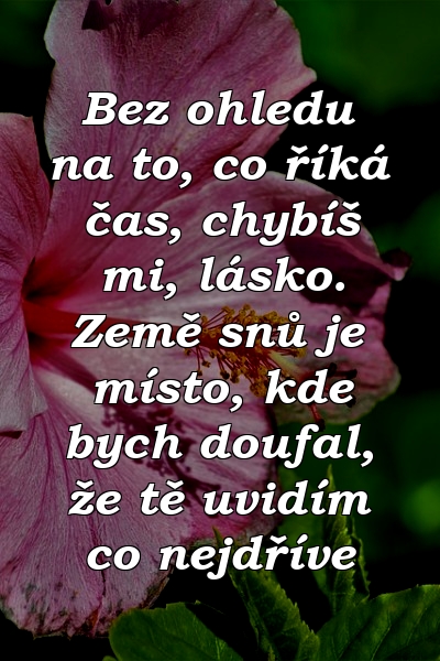 Bez ohledu na to, co říká čas, chybíš mi, lásko. Země snů je místo, kde bych doufal, že tě uvidím co nejdříve