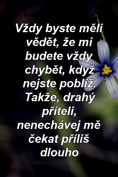 Vždy byste měli vědět, že mi budete vždy chybět, když nejste poblíž. Takže, drahý příteli, nenechávej mě čekat příliš dlouho