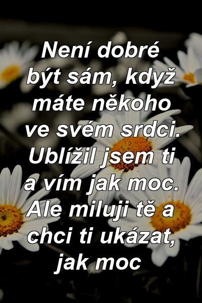 Není dobré být sám, když máte někoho ve svém srdci. Ublížil jsem ti a vím jak moc. Ale miluji tě a chci ti ukázat, jak moc