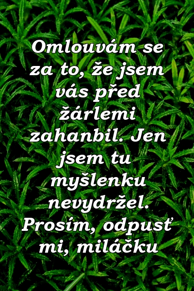 Omlouvám se za to, že jsem vás před žárlemi zahanbil. Jen jsem tu myšlenku nevydržel. Prosím, odpusť mi, miláčku