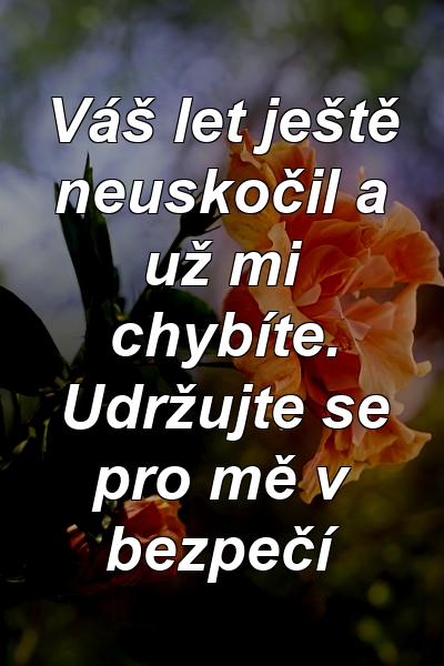 Váš let ještě neuskočil a už mi chybíte. Udržujte se pro mě v bezpečí