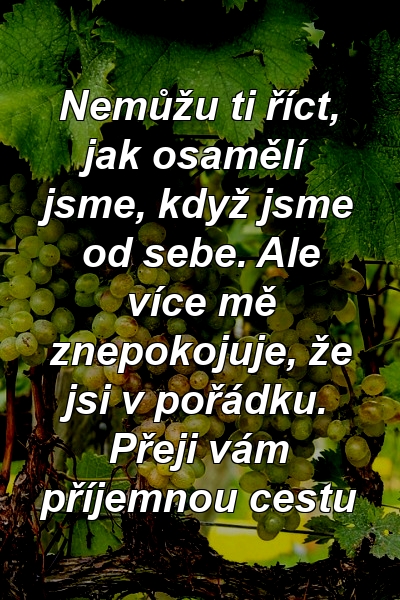 Nemůžu ti říct, jak osamělí jsme, když jsme od sebe. Ale více mě znepokojuje, že jsi v pořádku. Přeji vám příjemnou cestu