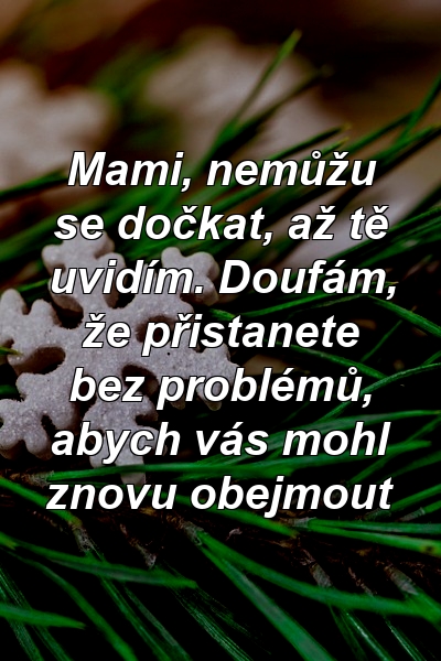 Mami, nemůžu se dočkat, až tě uvidím. Doufám, že přistanete bez problémů, abych vás mohl znovu obejmout