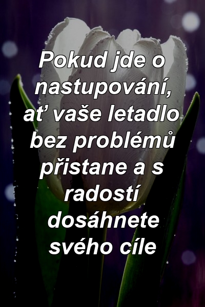 Pokud jde o nastupování, ať vaše letadlo bez problémů přistane a s radostí dosáhnete svého cíle