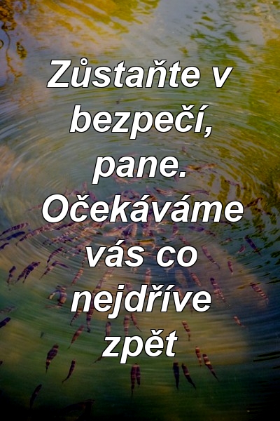 Zůstaňte v bezpečí, pane. Očekáváme vás co nejdříve zpět