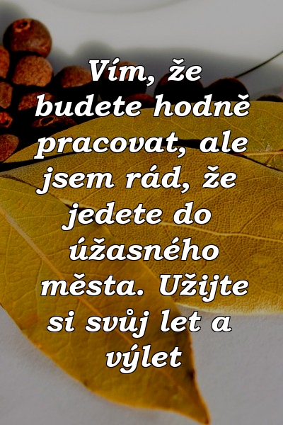 Vím, že budete hodně pracovat, ale jsem rád, že jedete do úžasného města. Užijte si svůj let a výlet