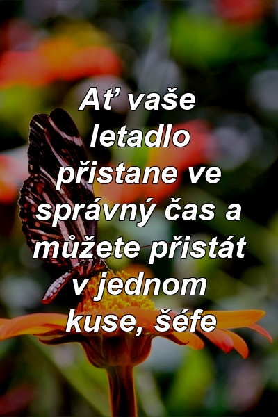 Ať vaše letadlo přistane ve správný čas a můžete přistát v jednom kuse, šéfe