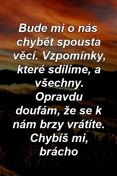 Bude mi o nás chybět spousta věcí. Vzpomínky, které sdílíme, a všechny. Opravdu doufám, že se k nám brzy vrátíte. Chybíš mi, brácho