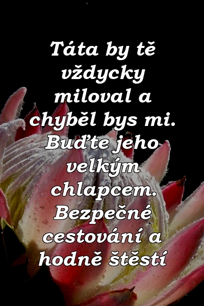 Táta by tě vždycky miloval a chyběl bys mi. Buďte jeho velkým chlapcem. Bezpečné cestování a hodně štěstí