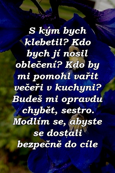 S kým bych klebetil? Kdo bych jí nosil oblečení? Kdo by mi pomohl vařit večeři v kuchyni? Budeš mi opravdu chybět, sestro. Modlím se, abyste se dostali bezpečně do cíle