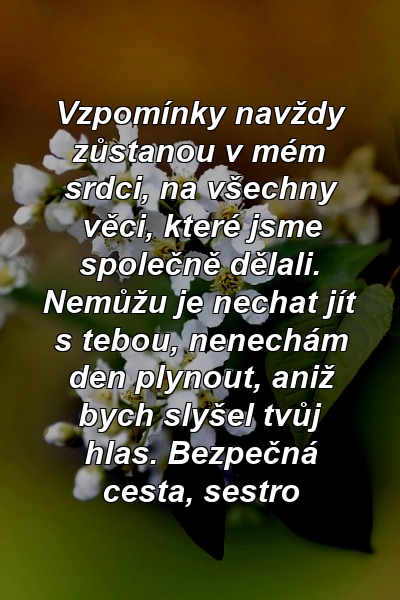 Vzpomínky navždy zůstanou v mém srdci, na všechny věci, které jsme společně dělali. Nemůžu je nechat jít s tebou, nenechám den plynout, aniž bych slyšel tvůj hlas. Bezpečná cesta, sestro