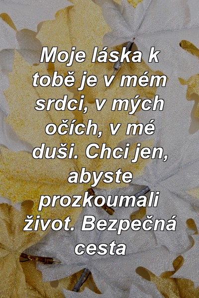 Moje láska k tobě je v mém srdci, v mých očích, v mé duši. Chci jen, abyste prozkoumali život. Bezpečná cesta