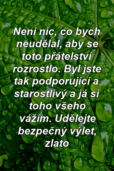 Není nic, co bych neudělal, aby se toto přátelství rozrostlo. Byl jste tak podporující a starostlivý a já si toho všeho vážím. Udělejte bezpečný výlet, zlato