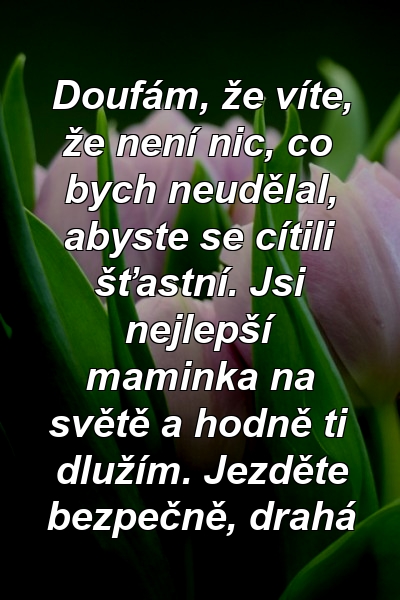 Doufám, že víte, že není nic, co bych neudělal, abyste se cítili šťastní. Jsi nejlepší maminka na světě a hodně ti dlužím. Jezděte bezpečně, drahá