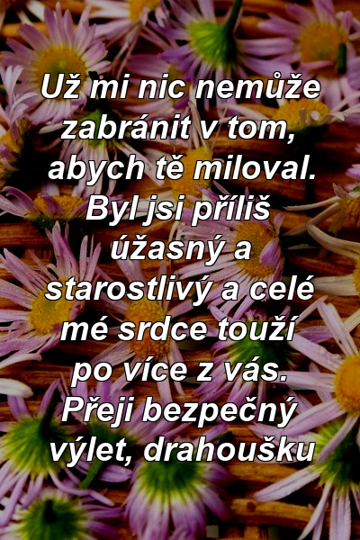 Už mi nic nemůže zabránit v tom, abych tě miloval. Byl jsi příliš úžasný a starostlivý a celé mé srdce touží po více z vás. Přeji bezpečný výlet, drahoušku