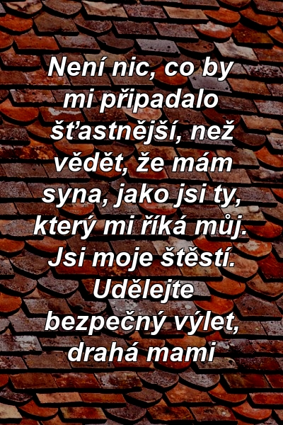 Není nic, co by mi připadalo šťastnější, než vědět, že mám syna, jako jsi ty, který mi říká můj. Jsi moje štěstí. Udělejte bezpečný výlet, drahá mami