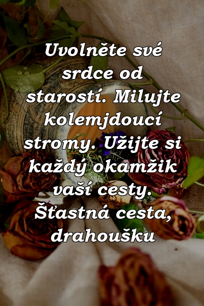 Uvolněte své srdce od starostí. Milujte kolemjdoucí stromy. Užijte si každý okamžik vaší cesty. Šťastná cesta, drahoušku