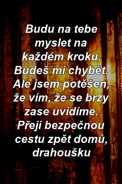 Budu na tebe myslet na každém kroku. Budeš mi chybět. Ale jsem potěšen, že vím, že se brzy zase uvidíme. Přeji bezpečnou cestu zpět domů, drahoušku