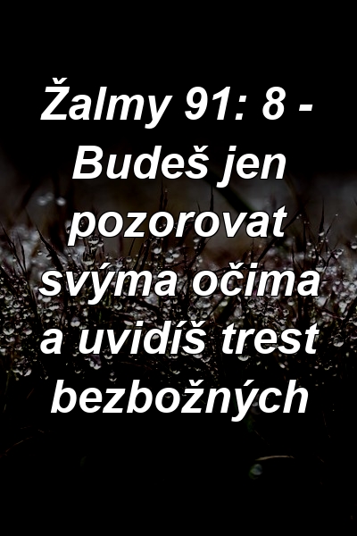 Žalmy 91: 8 - Budeš jen pozorovat svýma očima a uvidíš trest bezbožných