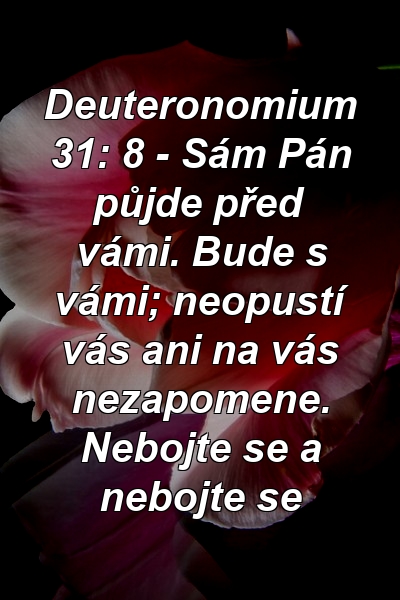 Deuteronomium 31: 8 - Sám Pán půjde před vámi. Bude s vámi; neopustí vás ani na vás nezapomene. Nebojte se a nebojte se