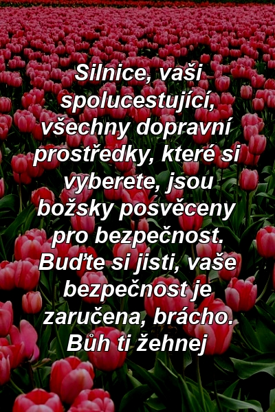 Silnice, vaši spolucestující, všechny dopravní prostředky, které si vyberete, jsou božsky posvěceny pro bezpečnost. Buďte si jisti, vaše bezpečnost je zaručena, brácho. Bůh ti žehnej