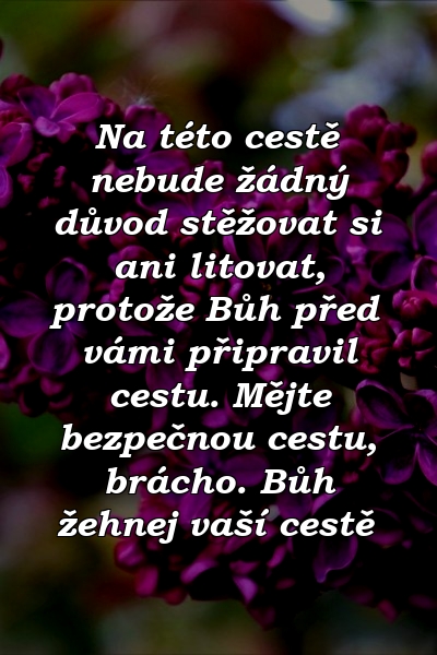 Na této cestě nebude žádný důvod stěžovat si ani litovat, protože Bůh před vámi připravil cestu. Mějte bezpečnou cestu, brácho. Bůh žehnej vaší cestě