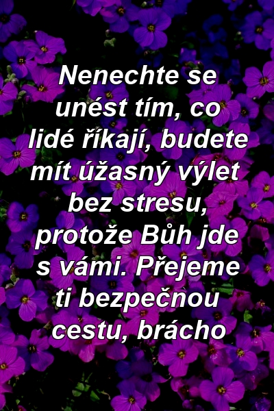 Nenechte se unést tím, co lidé říkají, budete mít úžasný výlet bez stresu, protože Bůh jde s vámi. Přejeme ti bezpečnou cestu, brácho