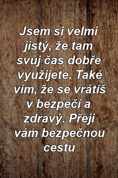 Jsem si velmi jistý, že tam svůj čas dobře využijete. Také vím, že se vrátíš v bezpečí a zdravý. Přeji vám bezpečnou cestu