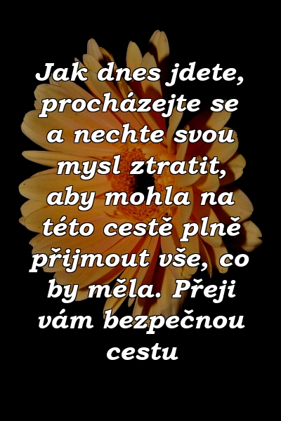 Jak dnes jdete, procházejte se a nechte svou mysl ztratit, aby mohla na této cestě plně přijmout vše, co by měla. Přeji vám bezpečnou cestu