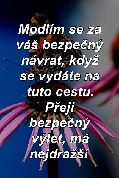 Modlím se za váš bezpečný návrat, když se vydáte na tuto cestu. Přeji bezpečný výlet, má nejdražší