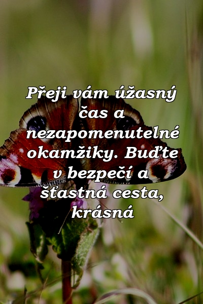 Přeji vám úžasný čas a nezapomenutelné okamžiky. Buďte v bezpečí a šťastná cesta, krásná