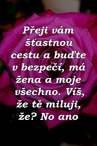 Přeji vám šťastnou cestu a buďte v bezpečí, má žena a moje všechno. Víš, že tě miluji, že? No ano