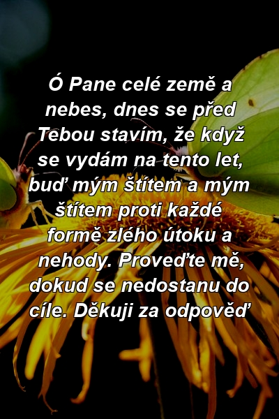 Ó Pane celé země a nebes, dnes se před Tebou stavím, že když se vydám na tento let, buď mým štítem a mým štítem proti každé formě zlého útoku a nehody. Proveďte mě, dokud se nedostanu do cíle. Děkuji za odpověď