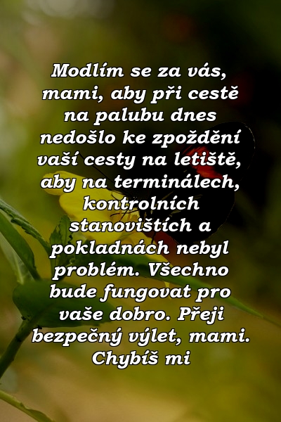 Modlím se za vás, mami, aby při cestě na palubu dnes nedošlo ke zpoždění vaší cesty na letiště, aby na terminálech, kontrolních stanovištích a pokladnách nebyl problém. Všechno bude fungovat pro vaše dobro. Přeji bezpečný výlet, mami. Chybíš mi