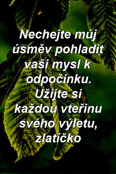 Nechejte můj úsměv pohladit vaši mysl k odpočinku. Užijte si každou vteřinu svého výletu, zlatíčko