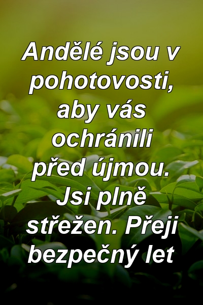 Andělé jsou v pohotovosti, aby vás ochránili před újmou. Jsi plně střežen. Přeji bezpečný let