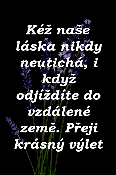 Kéž naše láska nikdy neutichá, i když odjíždíte do vzdálené země. Přeji krásný výlet