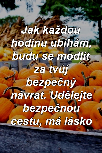 Jak každou hodinu ubíhám, budu se modlit za tvůj bezpečný návrat. Udělejte bezpečnou cestu, má lásko