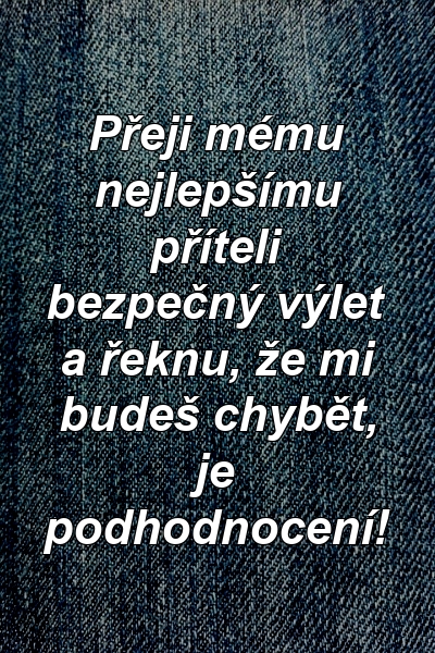 Přeji mému nejlepšímu příteli bezpečný výlet a řeknu, že mi budeš chybět, je podhodnocení!