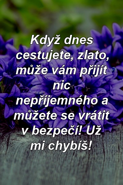 Když dnes cestujete, zlato, může vám přijít nic nepříjemného a můžete se vrátit v bezpečí! Už mi chybíš!