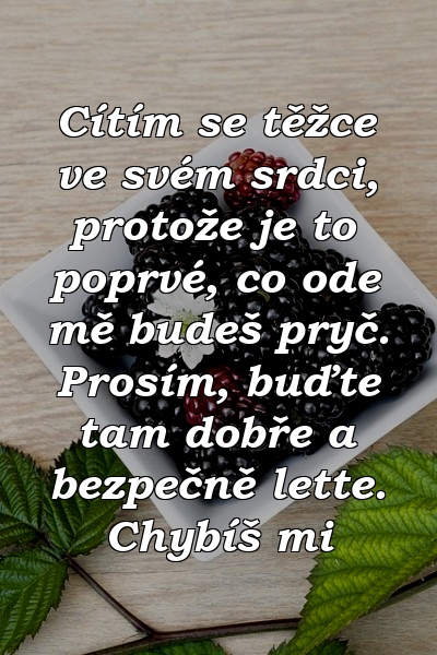 Cítím se těžce ve svém srdci, protože je to poprvé, co ode mě budeš pryč. Prosím, buďte tam dobře a bezpečně lette. Chybíš mi