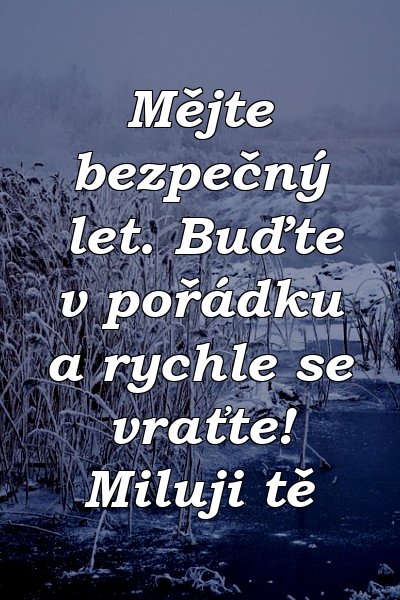 Mějte bezpečný let. Buďte v pořádku a rychle se vraťte! Miluji tě