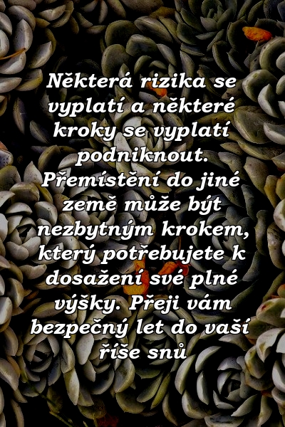 Některá rizika se vyplatí a některé kroky se vyplatí podniknout. Přemístění do jiné země může být nezbytným krokem, který potřebujete k dosažení své plné výšky. Přeji vám bezpečný let do vaší říše snů